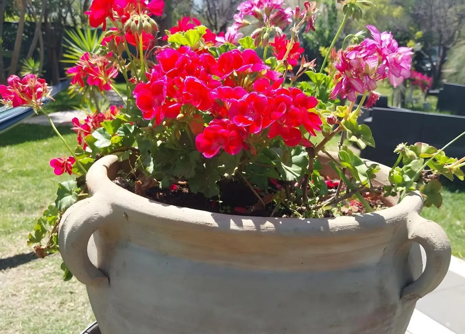 Agriturismo Terrenia Taormina 0*,